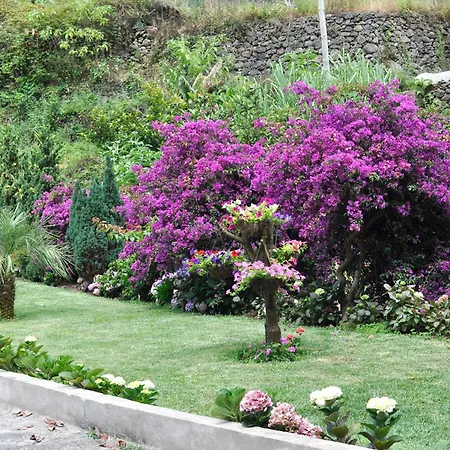 شاليه Refugio *