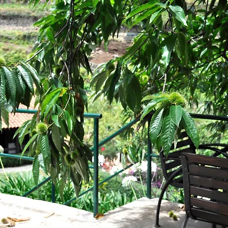 Refugio * São Vicente