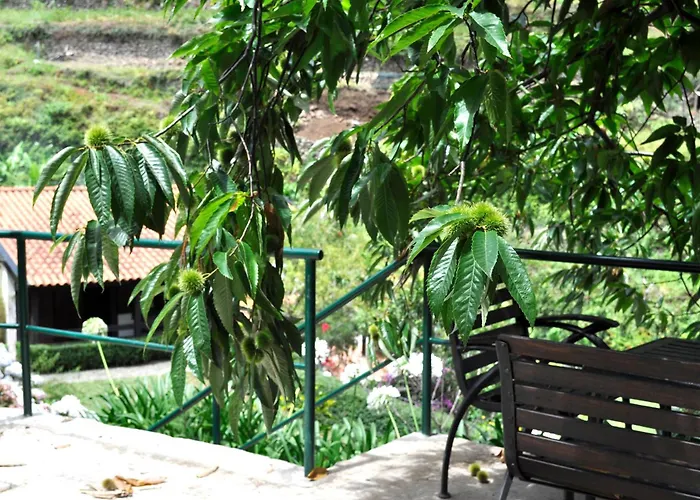 Refugio * São Vicente